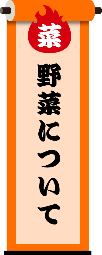 私たちが生産する野菜について