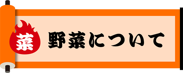 私たちが生産する野菜について