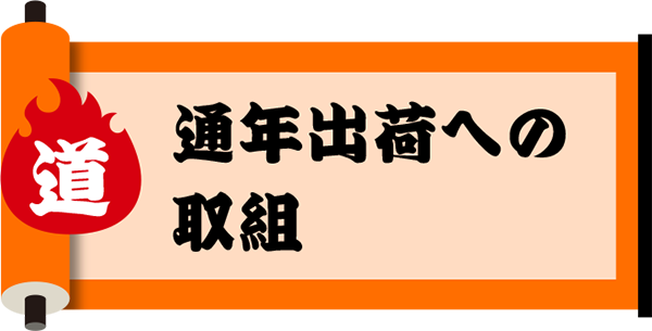 通年出荷への取組